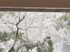 大雪の金沢出張！～何とか帰還～