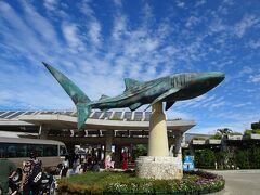 また来た沖縄 沖縄島中部を散策１. 美ら海水族館と今帰仁城跡が良かった！ (2022年11月末)