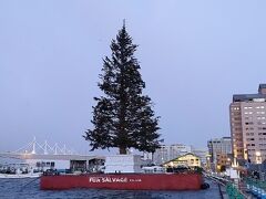 札幌～函館　北のクリスマス