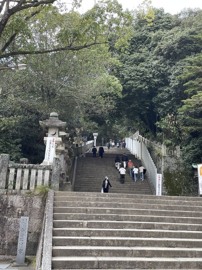 桂浜水族館を楽しんだあとはレンタカーで香川県へ。高知で2泊するつもりでしたが、大好きな共立リゾートのお宿が香川にもあると知り、ことひら温泉『御宿敷島館』に宿泊することに。せっかくここまできたので金刀比羅宮にお参りしたいと思いましたが、歩けない0歳と、抱っこ大好き歩かない2歳児をつれて785段登るのは無理だ～。調べたら車で資生堂パーラー「神椿」のある500段まで行けると知りショートカット。パーラーで食べたパフェは美しく絶品でした。285段だけでしたが、金刀比羅宮の階段は登るのが大変でした（2歳児は10段登っただけで抱っこ～）。でも登った先にある眺めは最高です。天気もよく、讃岐富士を見ることもできました。<br />お宿は金刀比羅宮の表参道にあるので立地もよく、新しくきれいで、外観の佇まいが素敵です。無料のサービスがたくさんあり楽しめました。大浴場や貸切風呂はいつでも入れるし、食事も美味しかったです。また来たいな～と思える宿でした。