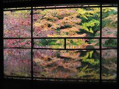 京都の紅葉を満喫してきました