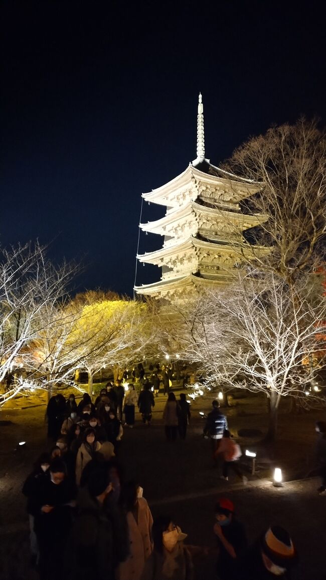 山科の毘沙門堂門跡と東福寺の紅葉をめぐりました。東寺のライトアップも楽しめました。