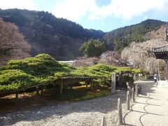 大原野神社