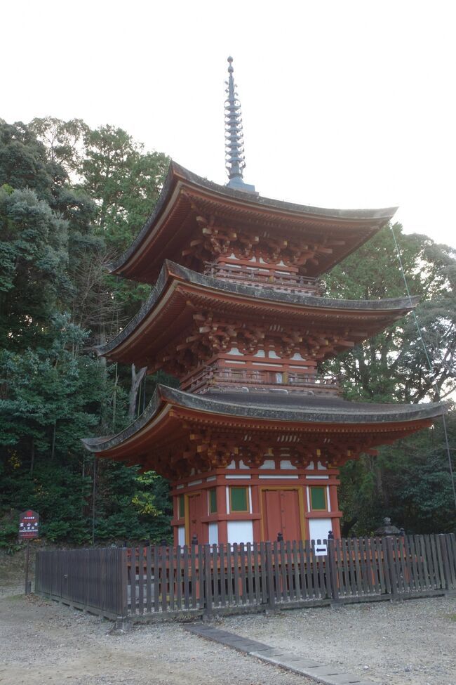 兵庫・京都・大阪・和歌山・奈良・岡山を巡る旅９泊１０日　奈良_霊山寺三重塔（重要文化財）編