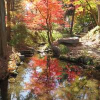 盛岡満喫の旅～錦秋の盛岡へ③～