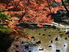 小石川後楽園で今年最後の紅葉を愛でました（2022）
