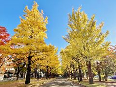 秋の北海道を満喫♪札幌&小樽紅葉紀行☆2日目(札幌編)