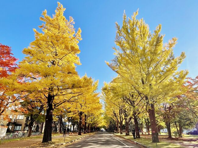 秋の北海道を満喫♪札幌&小樽紅葉紀行☆2日目(札幌編)