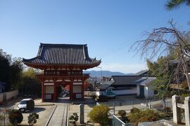 兵庫・京都・大阪・和歌山・奈良・岡山を巡る旅９泊１０日　京都 金胎寺・宝塔寺・大福光寺編