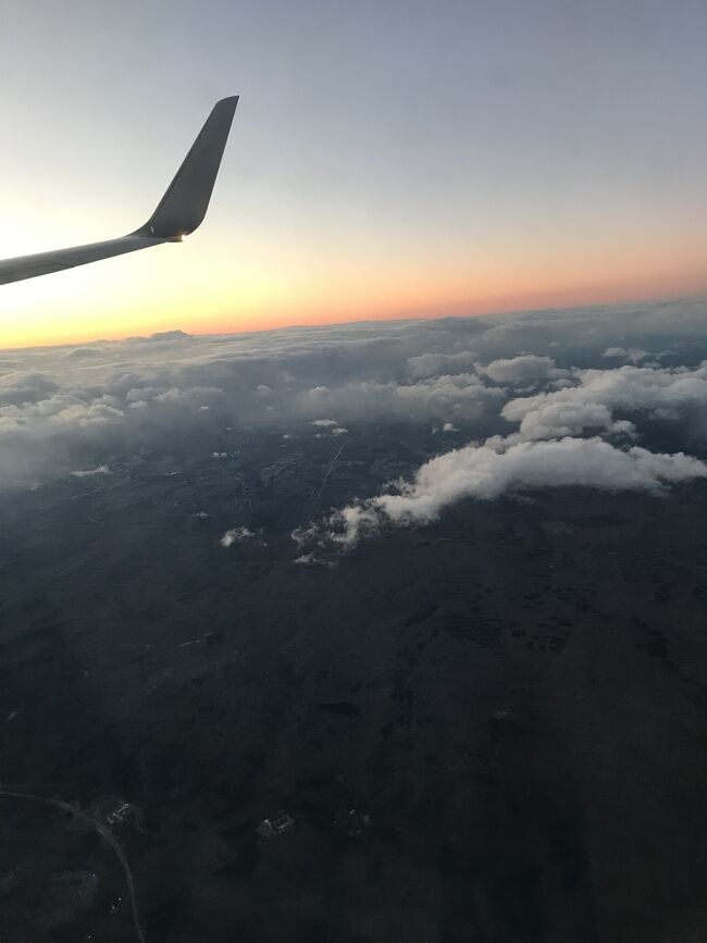 旅行支援を使って3泊4日+往復飛行機付きで3万円。<br />雪の情報を見ながら行った旅行。<br />今回は札幌中心で、行けたら小樽のバーに久しぶりに顔を出したかったけど、雪でいつ電車が止まるかわからない不安があって、結局札幌の地下をひたすら歩いたりして終了。<br />今回は初めて行く一人立ち飲みに行きました。<br />やはり気になりますね。他人の大声での会話+狭い空間にいるの。<br />入り口を少し開けて換気をしてくれていたらまだいいけど、入り口を常に閉めて密閉状態を常に作っていたから、やはりこの環境はまだ早かった。<br />帰ってきてから感染していないか、数日不安でした。<br />
