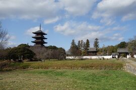 兵庫・京都・大阪・和歌山・奈良・岡山を巡る旅９泊１０日　岡山　真光寺・宝福寺・備中国分寺編