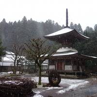 奈良・和歌山２泊３日　雪の高野山　金剛三昧院多宝塔　金剛峯寺