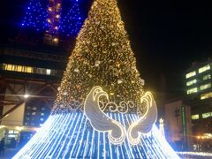 札幌　ホワイトイルミとミュンヘンクリスマス市