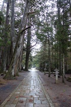 奈良・和歌山２泊３日　高野山　奥の院