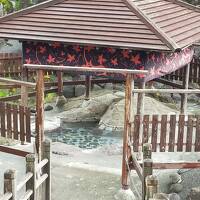 ☆ 今年の冬も 静岡 伊豆 ハプニング 続出☆　修善寺編 no.2