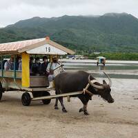 八重山４日間（２）石垣港～西表島、由布島