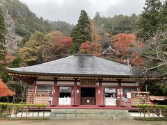 紅葉狩り：香嵐渓～鳳来寺山