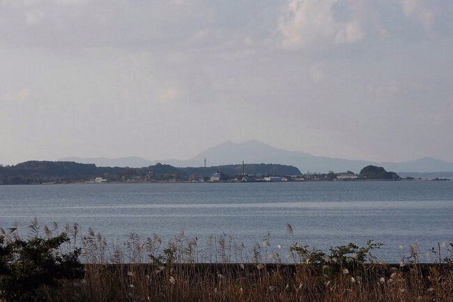 　稲敷市本新でバードウォッチングを楽しみました。<br /><br />表紙写真は、稲敷市本新の霞ケ浦湖畔の風景です。<br />