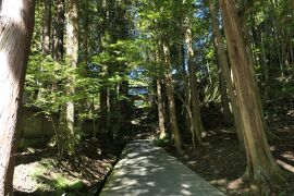 秋の松茸グルメ旅♪　Vol.30 ☆別所温泉：安楽寺　国宝八角三重塔♪