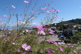 秋の松茸グルメ旅♪　Vol.38 ☆別所温泉：安楽寺から常楽寺へ優雅に歩く♪