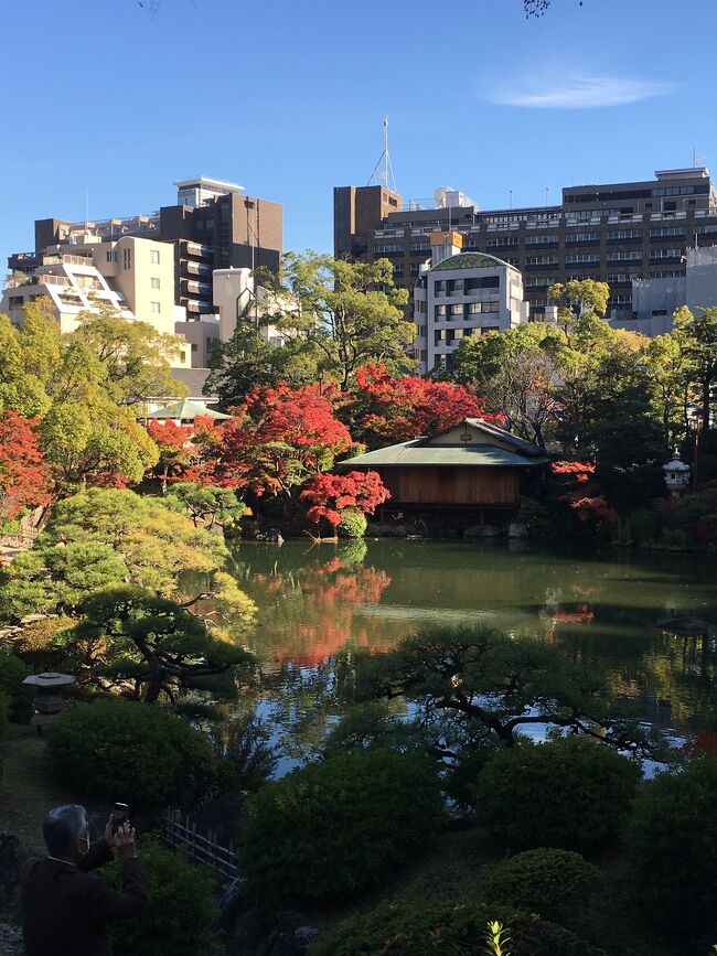 春の引っ越しに続き、雑用しに神戸に行ってきました。娘は神戸生活を満喫してました。親としては安心しましたが、少しさみしいかな。笑。