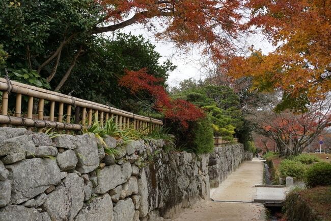 見事な桜の滋賀県大津の旅から琵琶湖の雰囲気に魅せられて、<br />12月にふたたび滋賀県を訪れました。<br />明智光秀の所縁の地・坂本にも行きたいし、彦根にも行きたい、<br />おごと温泉にも行きたい。<br />という訳で紅葉も終わりかけた時期ですが、大津の旅へ出かけました。<br /><br />日程<br />2022年12月5日～8日<br /><br />■12月5日　自宅～東京～（新幹線）～京都～大津～坂本<br />　　　　　　東京駅新幹線のぞみ81号　7:42発～　京都駅9:57着<br />　　　　　　京都駅JR湖西線　10:26発～　比叡山坂本駅下車　10:42着<br />　　　　　　坂本街歩き<br />　　　　　　おごと温泉　湯元館　別館　月心亭（泊）<br /><br />□12月6日　おごと温泉～坂本(西教寺、旧竹林院）～JR比叡山坂本駅～<br />　　　　　　JR大津<br />　　　　　　琵琶湖大津プリンスホテル(泊）<br /><br />□12月7日　ホテル～JR大津駅～彦根・近江八幡～大津駅<br />　　　　　　琵琶湖大津プリンスホテル泊<br /><br />□12月8日　ホテル～JR大津駅～石山寺～JR大津駅～京都駅～東京駅～自　　　　　　<br />　　　　　　宅<br /><br />☆本家 鶴喜そば　http://www.tsurukisoba.com/　<br />☆おごと温泉　湯元館　別館　月心亭　https://www.yumotokan.co.jp/<br />　