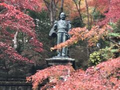 東郷公園　紅葉祭り