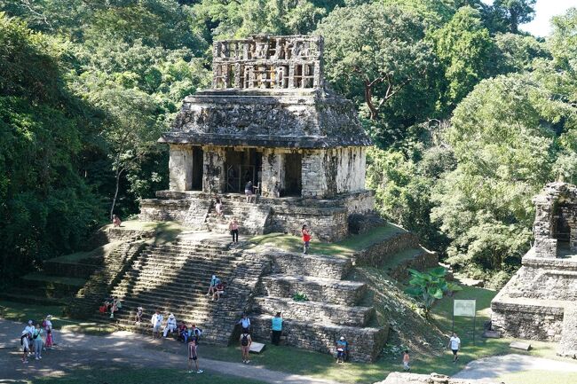 　マヤ文明等の遺跡巡りで、パレンケ遺跡（チアパス州）と、別旅行記のビジャエルモサ（タバスコ州）を観光しました。<br /><br />●パレンケ遺跡<br />　遺跡に近いパレンケの町は小さくてホテルも少ないので、ちょっと遠いですがタバスコ州州都のビジャエルモサを拠点にしてレンタカーで行きました。現地で声をかけてくるガイドを雇うか迷ったけど、やっぱり写真メインにしようと思いやめました。<br />　一部の神殿では階段を登ることができ、眺めの良い景色を楽しめました。<br />　密林とまでいかないまでも森の中で暑い気候なので蚊がいます、虫よけあった方が良いです。<br /><br />●パレンケ遺跡博物館<br />　赤の女王に関連する展示やマヤ文明出土品が展示されていて遺跡とセットで行きました。遺跡正門までは約1.5km。<br />　この博物館の前が遺跡用のチケット売場になってます。<br /><br /><br />●2泊3日旅程<br />・観光：-パレンケ(Palenque)遺跡（ビジャエルモサから車で片道2時間強）<br />　　　　-パレンケ遺跡博物館<br />　　　　-ビジャエルモサのLa Venta博物館（オルメカ文明）<br />　　　　-ビジャエルモサの人類学博物館（Museo Regional de Antropologia)<br /><br />・宿泊：Villahermosa Marriott　ポイント宿泊　2泊で24000pt<br />・レンタカー：Hertz   小型セダン2日間ネット払い 1600ペソ+中途半端な保険2日間 1800ペソ　＝　3400ペソ(x7=約24,000円）