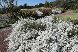 秋の松茸グルメ旅♪　Vol.91 ☆東御：ヴィラデストガーデンファーム秋の花と薔薇の美しい庭園♪