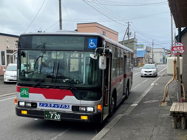 2022年7月25日（月）朝～昼下がり<br /><br />この日は朝から、路線バス（１日乗車券）を使った利尻島１周（時計回り）観光です。　前日までに自転車・徒歩で行ける範囲内の観光名所は訪問済みですので、遠方の観光名所巡りに専念できました(^_^;)<br /><br />オタトマリ沼や南浜湿原で自然を満喫したり、利尻町立博物館を見学したり、仙法志御崎公園や漁村、沓形の街などを散策したりしていました。<br /><br />利尻島の路線バスは本数が少なく観光には使いづらいのですが、一部区間は歩いたり、先に博物館へ行ってから仙法志公園に戻るなど工夫すれば、十分使えることが分かりましたので実践してみた次第です。　詳細はスケジュールを参照願います。ただし、平日と土休日ではダイヤが異なるので注意が必要です。<br /><br />バス観光の後は沓形港から礼文島へ渡りますが、その前に二晩お世話になった宿へ、預かって頂いた荷物を取りに寄りました。