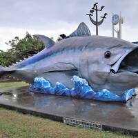 奄美群島～沖縄アイランドホッピングの旅 その②世界自然遺産『奄美大島』周遊！　