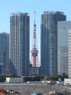 ２０２２年１２月孫と二人で首都圏観光の３日目・前半～上野～御徒町～月島～勝鬨橋～築地～銀座～！！ o(^-^)o