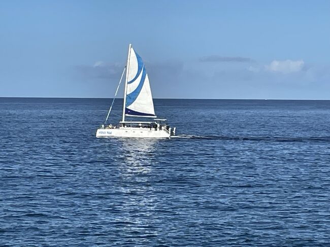 7月に続き2022年2回目のハワイ島です。<br />毎回ゴルフ合宿のような旅行ですが、今回は学生時代からの友人が前半合流し、珍しく？観光もしました。少し長めの8拍10日です。<br />JALのコナ行き直行便がまたまた、運休なので、急遽ホノルル乗り継ぎ便へ変更しました。JALにしたかったのですが、サーチャージが高くて、ハワイアンエアラインで予約しました。ちょうどホノルルマラソンの時期にあたっていたし、羽田発のせいか飛行機はほぼ満席でした。<br />私たちがハワイ島へ行く直前の11月29日にマウナロアが噴火しましたが、大きな影響はありませんでした。<br />