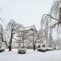 雪の弘前城に行ってきました。