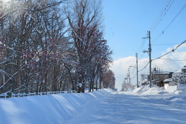 大晦日、元日、2日と穏やかな天気だったのが3日に大雪が。<br />午前中は除雪に追われ午後から初詣に出かけました。<br />近所の雪景色と併せて載せてみます。<br />