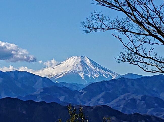 遅まきながらあけましておめでとうございます。<br /><br />毎度のことながら、飲んだくれただけの年末年始。<br />ちょっとは体を動かさなきゃな、ということで高尾山へ。<br /><br />高尾山は数えきれないほど登っていますが、今回は琵琶滝から霞台を超えて1号路へ合流するコースで頂上を目指し、帰りは４号路の吊り橋を通って<br />再度、琵琶滝経由で下り、紅葉屋本店で冷やしとろろそばを食べてきました。<br /><br />天候に恵まれ息をのむような富士を見ることができ、今年はなんだか春から縁起が良いねえ、なんて上機嫌で。<br /><br /><br /><br />