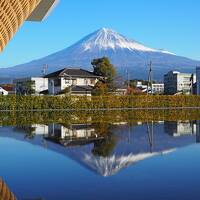 朝の富士宮にて霊峰を仰ぐ