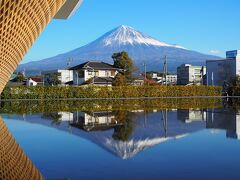 朝の富士宮にて霊峰を仰ぐ