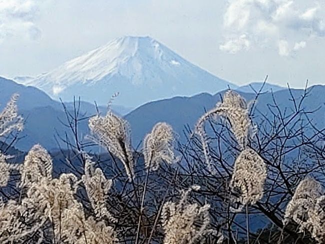 2022年12月3日、小仏城山～高尾山を歩いてきました！<br />昨年(2022年)は、低山の登山に終始した１年でした。<br />今回の小仏城山～高尾山のコースは、名残の紅葉を期待して登りました。<br />僅かに「もみじ台」辺りで紅葉が見られ、何とか間に合いました！<br />「富士山」も、運よく「一丁平」～「もみじ台」の途中で、綺麗な姿を見ることが出来ました！<br />