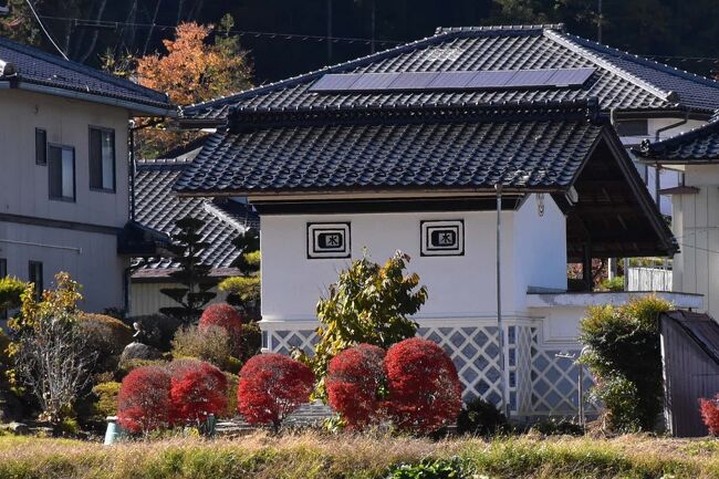 2022年11月6日（日）に開催された「高遠城下 石仏ウォーク」の後半は町なかを歩きます。<br />途中の高遠城址公園から高遠町歴史博物館、小原の道祖神、天女橋、二十二夜、建福寺を巡ります。<br /><br />高遠城址公園ではもみじの紅葉が見頃となり、「高遠石工」や「守屋貞治」の数々の石仏に感動しながら歩くと、町の東西には中央アルプス「木曽駒ヶ岳」と南アルプス「仙丈ヶ岳」の絶景が眺められます。<br />城址公園ではちょうど「高遠そば祭り」を開催しており、高遠独特の焼き味噌と大根のしぼり汁で溶いた「からつゆ」ですする蕎麦をいただきます。<br />町なかは火の見櫓と蔵が多いところです。<br /><br />なお、旅行記は下記資料を参考にしました。<br />・スポーツ エントリー「秋の伊那巡り 高遠城下石仏ウォーク2022」のHP<br />・伊那市「高遠城下石仏ウォーク2022」パンフレット<br />・伊那市「高遠石工」「伊那市高遠町・長谷周辺の石造物探訪マップ」<br />・伊那市観光協会ブログ、facebook「高遠城下石仏ウォーク」：小原の道祖神<br />・nekataさんプログ「天女橋際の延命地蔵」「建福寺の西国三十三観世音菩薩」<br />・風に誘われてブログ、石仏・道祖神に会いに「建福寺の石仏」<br />・ぼちぼちいこか「高遠建福寺」<br />・伊那谷ねっと「高遠町島畑の二十二夜様」2016/8/25<br />・文化遺産オンライン「高遠閣」<br />・i-na movies「ぶっとおしそば三昧」：高遠そば<br />・長野県「高遠ダム概要」<br />・家紋一覧のHP<br />・家紋のいろは「丸に十五枚笹」<br />・信濃毎日新聞デジタル「石仏巡り歴史と紅葉を楽しむ 伊那市高遠町で石仏ウォーク」202211/6<br />・かっちん旅行記「アルプスと桜が眺められる信州の高遠（長野）」2015/4/9<br />・長野伊那谷観光局「伊那谷が誇る 南アルプスの女王 仙丈ヶ岳」「建福寺」<br />・Googleマイマップ「高遠町の火の見櫓」<br />・お役立ち！季節の耳より情報局「高遠藩の家紋は内藤家の下がり藤」<br />・ウィキペディア「モミジバフウ」「仙丈ヶ岳」「道祖神」「梶の葉」<br />