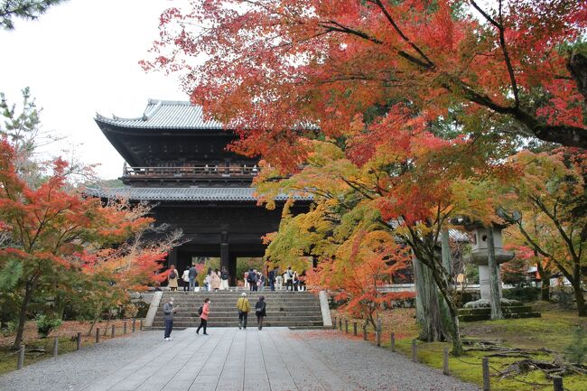 平日に休暇を頂き、京都へ<br /><br />東福寺の紅葉を堪能した後に、南禅寺へいきました。<br /><br />南禅寺<br />京都府京都市左京区南禅寺福地町<br /><br /><br />東福寺・南禅寺の紅葉 vol.1<br />https://4travel.jp/travelogue/11797458/<br /><br /><br /><br /><br /><br />