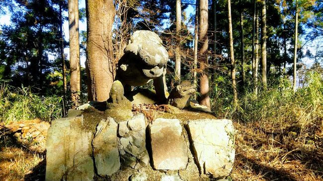 4トラベル会員になる以前の、1年前の旅になります。記憶がおぼろげで、写真も少なめですが、記念に残しておきたくて、旅行記をアップすることにしました。<br /><br />八王子城は北条氏照が築いた関東屈指の山城です。氏照が多くの家臣を連れて小田原城に行っていた隙をつかれ、守り手の数倍もの軍勢を率いる前田利家・上杉景勝らに一日にして攻め落とされましたが、天然の要塞とも言えるこの山城を落とすのは決して容易ではなかったそうです。その八王子城の跡が見たくて、トレッキングとセットで行ってみました。<br /><br />本日の行程です。八王子城跡ガイダンス施設の駐車場まで車で行き、まずはガイダンス施設で八王子城の勉強をし、マップなどをいただきます。その後、金子曲輪を経て本丸跡に向かう登山道を行き、本丸跡、小宮曲輪、松木曲輪を回り、更に奥にある詰城跡へ行きます。詰城から先は八王子城とは関係がないのですが、富士見台、熊笹山へとトレッキングをし、その後御主殿の滝ルートという道を辿り、八王子城の御主殿跡の方へと下山し、御主殿跡付近を見学するというものです。<br /><br />本日の歩行距離 4.7km、アップ 409m、ダウン 407m<br /><br />後日(22.5.30)、八王子城を築いた北條氏照がその前に住んでいた滝山城跡にも行って来ました。滝山城跡の方は標高170mと低いので坂もなだらかなで、八王子城跡に比べると楽に廻ることができます。<br /><br />滝山城跡の歩行距離 6km(城跡以外のハイキング込み)、アップ 44m、ダウン 47m