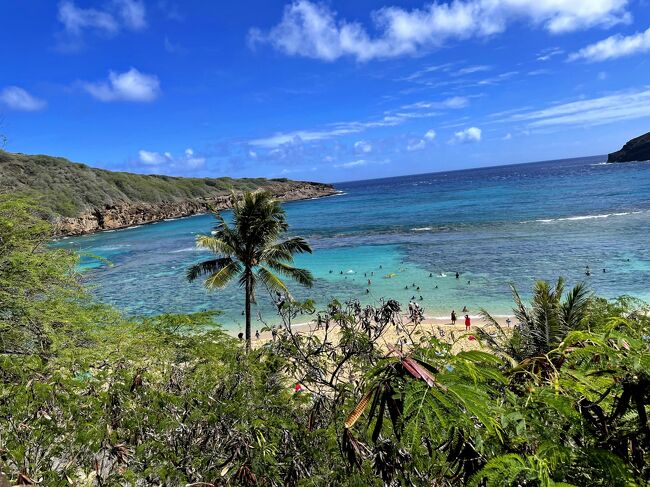 3年ぶりの海外一人旅 ホノルル6泊8日の旅 4日目　ハナウマ湾でシュノーケリング　