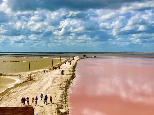 ２０２３年の年始旅行はユカタン半島の州都メリダに行ってきました。<br /><br /><br />ユカタン半島と言えば世界的リゾートのカンクン。<br /><br />そのカンクンとメリダは車で４時間強の距離です。<br /><br />カンクンは毎年異常なスピードで物価が上がっていますが、メリダはとてもリーズナブル。<br /><br />しかも見どころたくさん。<br /><br />治安も良く、物価も安く、南国エリア（雨季は暑すぎるけど）なのでメキシコ人にとても人気がある都市なのです。<br /><br /><br />私が久々にカリブ海の暖かい場所に行きたかったのと、ウシュマル遺跡見たさに行ったメリダでしたが、結果むちゃくちゃ良かったです。<br /><br /><br />現地でレンタカーを借りるか迷いましたが、暑い場所ではとにかく何処でもビールを飲みたい夫の希望で、メリダのセントロから出ているツアーに申し込むことにしました。<br />ツアーは事前にネットで申し込むより、到着後にセントロにたくさんあるツアーデスクに飛び込みで申し込む方が安かったりします。<br /><br />また、メリダは観光地の入場料が現金受付のみが多いです。<br />手数料を嫌がって、レストランやツアーデスクですら現金しか受け付けないこともあります。<br />セントロにはATMがたくさんあるのでいいのですが、観光地は基本僻地でATMは少ないので、現金をたくさん持って行きましょう。