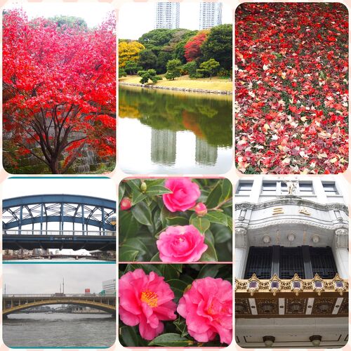 東京ディズニーランドを楽しんだ後は、皇居乾通り、日本橋、隅田川