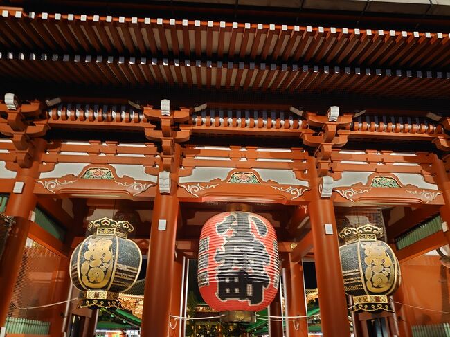 2023年についに新年を迎えたということで、元旦はやっぱり東京旅行になります。キックバックは必ず行くとして、あとは美容クリニックで施術、気分に任せてテキトーに行きたいところへ行く感じの旅行になります。<br /><br /> コロナ禍はもうすぐで3年です。社会情勢や世の中が相変わらずギスギスしてるような感じです。物価高や社会保険料アップなどなど…おっとせっかくの楽しい旅行なんだから、とりあえず現実は一時的に目をつむって2泊3日は旅行を楽しんでいきます。