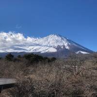 馬刺とお宮参りと温泉と・・・御殿場と中川温泉