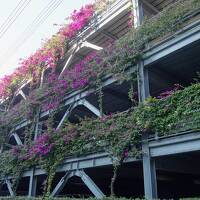 鹿児島空港発着で宮崎へ。２日目。西都へ、そして鹿児島霧島へ。