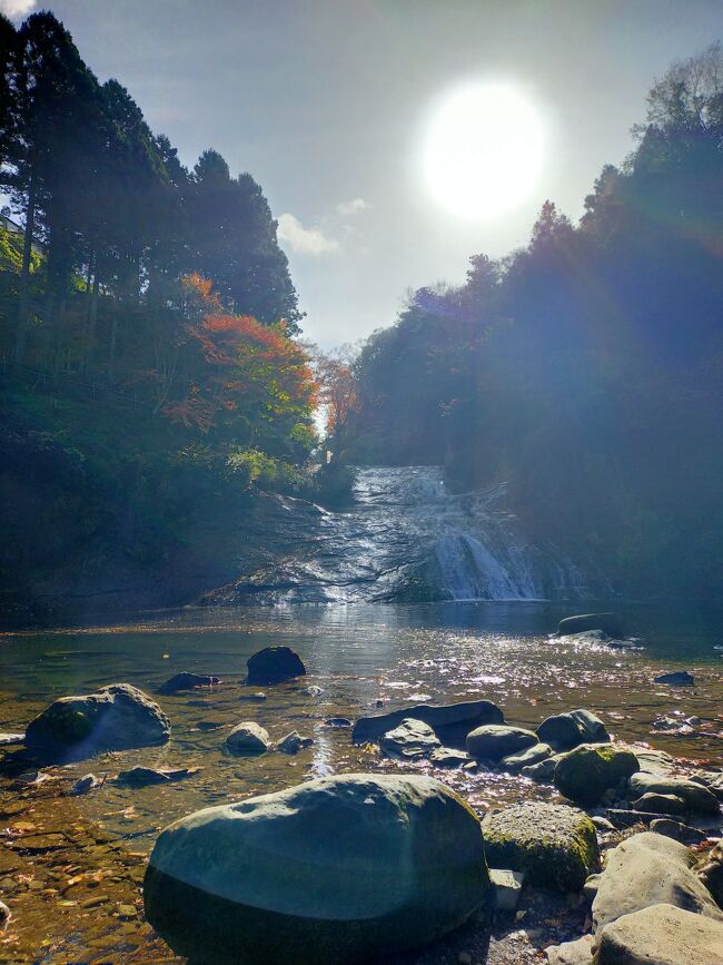 養老渓谷の紅葉を見にHISのバスツアーに参加。<br />全国旅行支援対象だったので、とってもお得な旅になりました。<br /><br /><br />【新宿発】【全国旅行支援】冬の房総特盛り大満喫！サザエ♪ホタテ♪牡蠣♪豪快海鮮浜焼き食べ放題と海鮮詰め放題＆関東で1番遅い紅葉「養老渓谷」◆<br /><br />■出発日　2022年11月29日 (火)<br />■出発地　新宿<br />■出発時間　7:40<br />■ツアー催行状況　催行決定<br />■旅行者人数 : 1名様<br /><br />新宿（7：40発）<br />↓<br />＜高速道＞<br />↓<br />養老渓谷／粟又の滝<br />（関東で1番遅い紅葉！紅葉に包まれた養老渓谷をミニハイキング）<br />↓<br />お百姓市場<br />（約10種類の海産物を発泡スチロールに詰め放題＆お買い物）<br />↓<br />漁師料理たてやま<br />（海鮮浜焼き食べ放題の昼食）<br />↓<br />沖ノ島<br />（HIS初登場！澄んだ海を眺めながらSNSで話題の無人島を散策）<br />★雨天時は「渚の駅たてやま」のお立寄りに変更となります★<br />↓<br />＜高速道＞<br />↓<br />新宿（18：30頃着予定）<br />