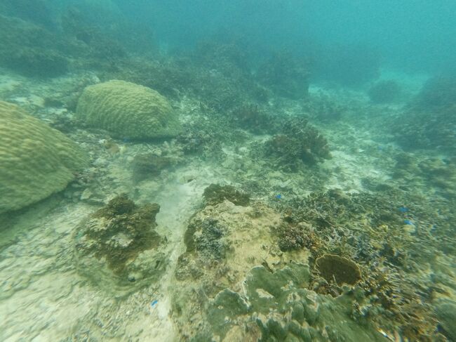 お正月明けオフシーズンの宮古島で海を満喫（２日目）